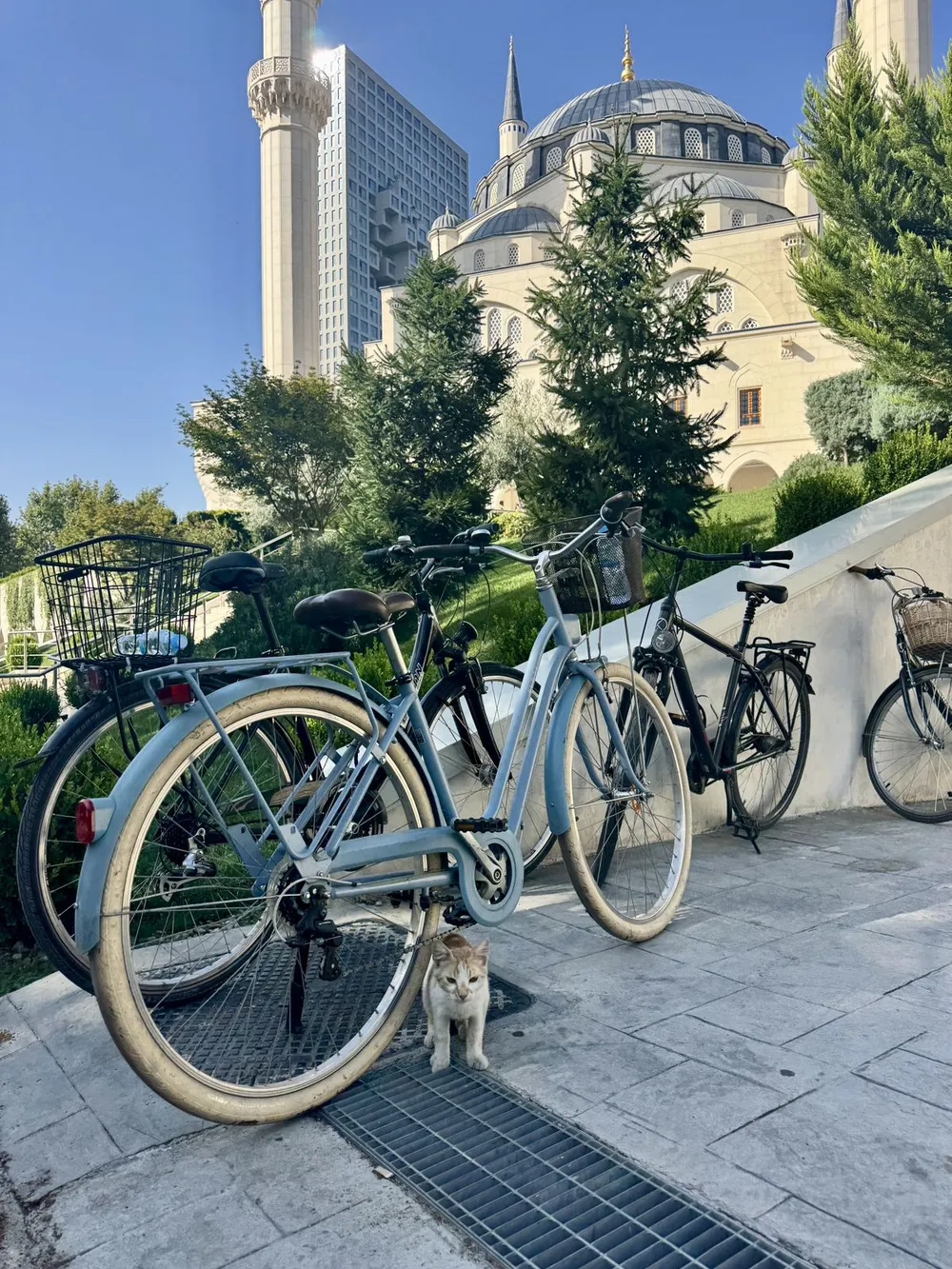 A light grey cruiser bicycle parked on a tiled walkway with a small grey kitten sitting near the front wheel and a mosque in the background