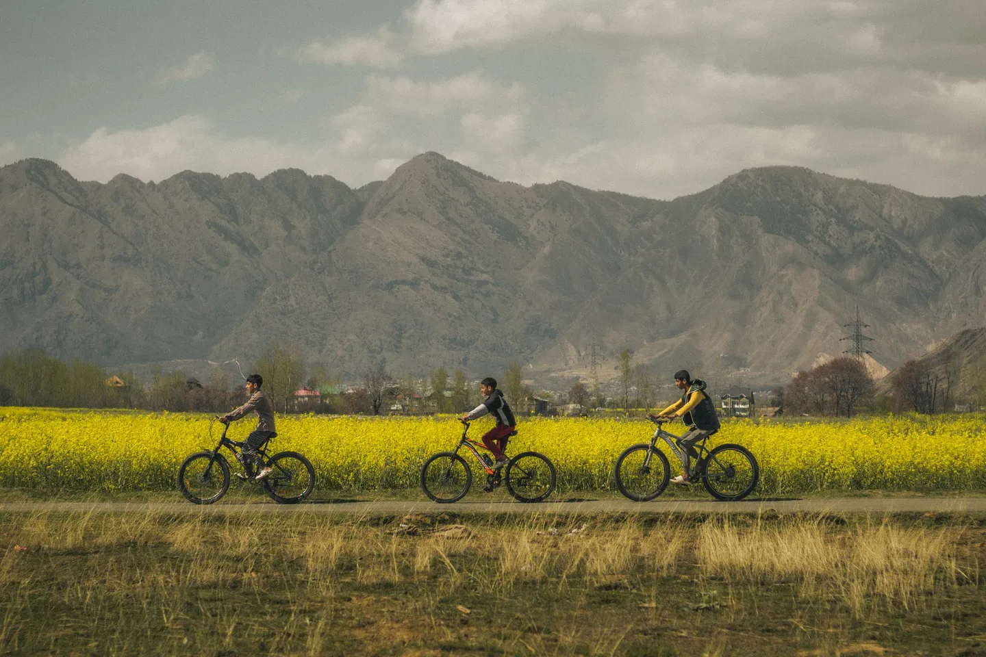 Group of cyclists riding together on an open road