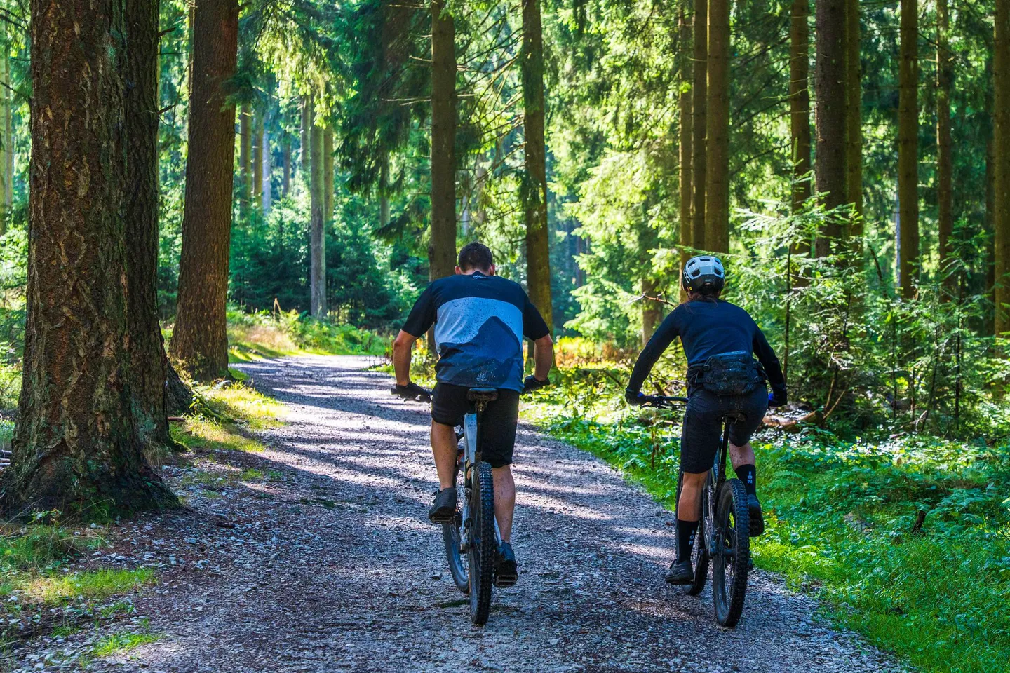 Mountain biker overlooking a valley viewpoint
